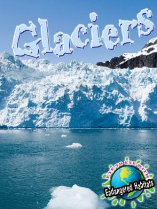 Kniha Glaciers Precious McKenzie