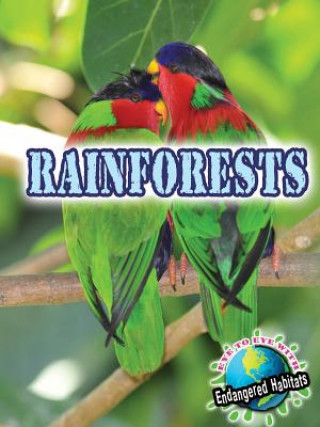 Knjiga Rainforests Precious McKenzie