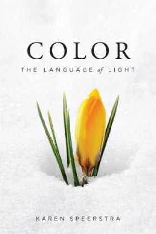 E-kniha Color Karen Speerstra