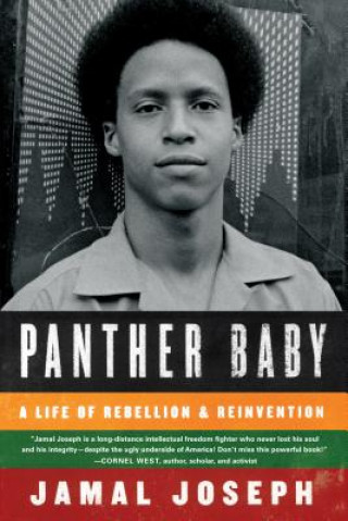 Книга Panther Baby Jamal Joseph