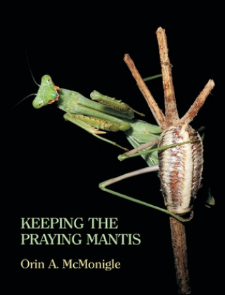 Carte Keeping the Praying Mantis Orin McMonigle