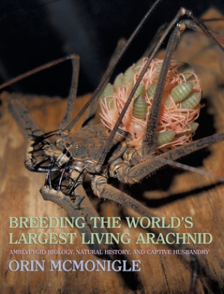 Knjiga Breeding the World's Largest Living Arachnid Orin McMonigle