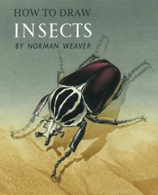 Kniha How to Draw Insects (Facsimile Reprint) Norman Weaver