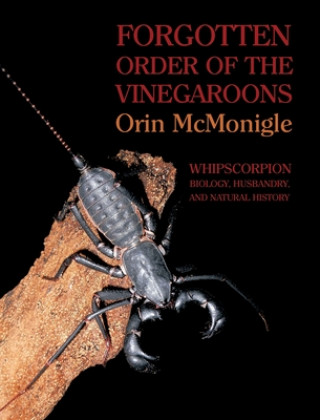 Könyv Forgotten Order of the Vinegaroons Orin McMonigle
