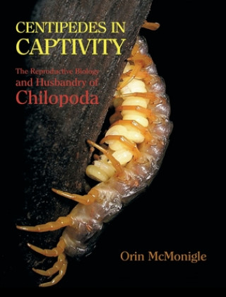 Knjiga Centipedes in Captivity Orin McMonigle