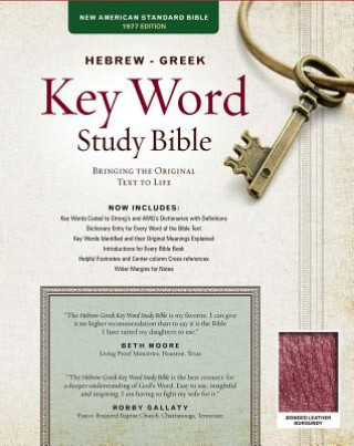 Kniha Hebrew-Greek Key Word Study Bible-NASB Warren Patrick Baker