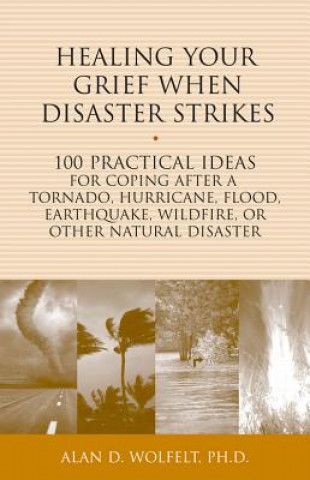 Knjiga Healing Your Grief When Disaster Strikes Alan D. Wolfelt