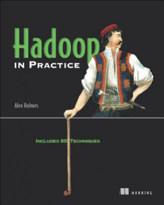 Libro Hadoop in Practice Alex Holmes