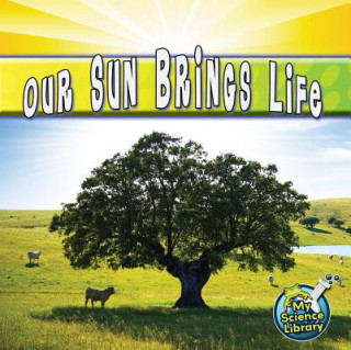 Kniha Our Sun Brings Life Conrad J. Storad