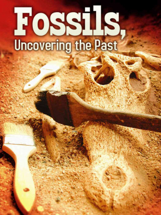 Knjiga Fossils Tom Greve