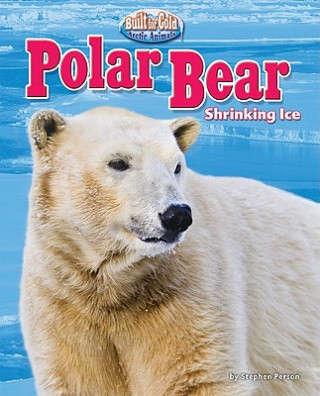 Carte Polar Bear: Shrinking Ice Stephen Person