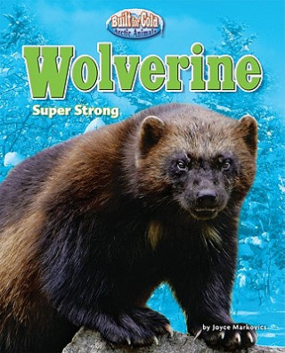 Buch Wolverine: Super Strong Joyce L. Markovics