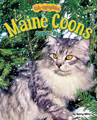 Knjiga Maine Coons: Super Big Nancy White