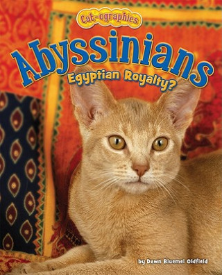 Libro Abyssinians: Egyptian Royalty? Dawn Bluemel Oldfield