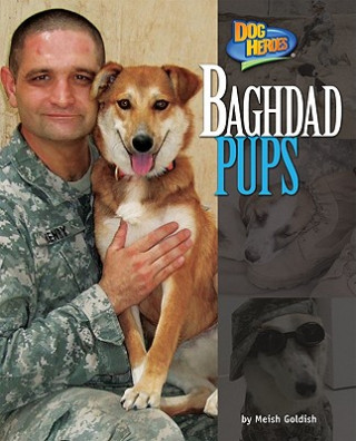 Kniha Baghdad Pups Meish Goldish