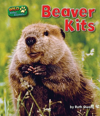 Książka Beaver Kits Ruth Owen