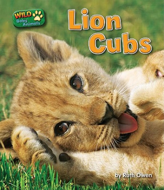 Carte Lion Cubs Ruth Owen
