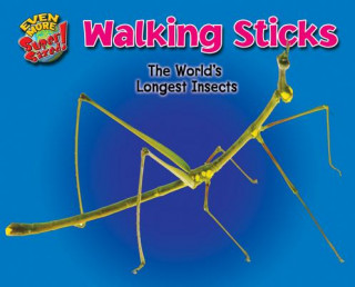 Kniha Walking Sticks: The World's Longest Insects Leon Gray