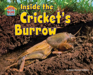 Könyv Inside the Cricket's Burrow Dawn Bluemel Oldfield