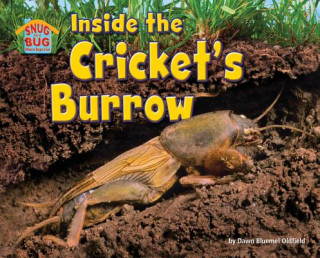 Книга Inside the Cricket's Burrow Dawn Bluemel Oldfield