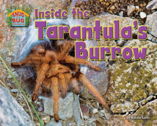 Kniha Inside the Tarantula's Burrow Natalie Lunis