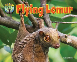 Книга Flying Lemur Dee Phillips