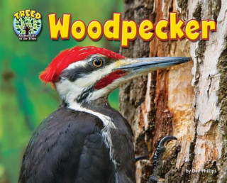 Kniha Woodpecker Dee Phillips