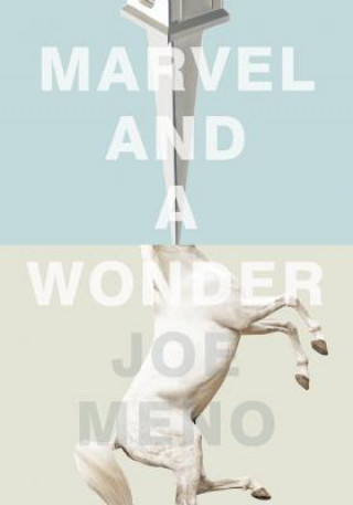 Könyv Marvel and a Wonder Joe Meno