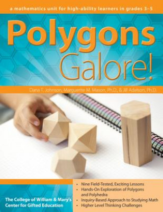 Książka Polygons Galore Dana T. Johnson