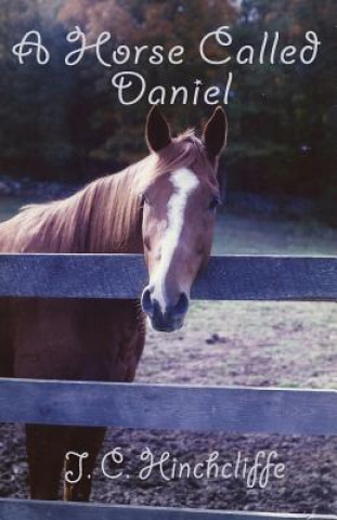 Kniha A Horse Called Daniel J. C. Hinchcliffe