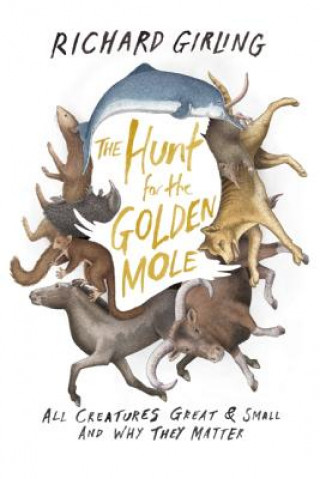 Book The Hunt for the Golden Mole: All Creatures Great & Small and Why They Matter Richard Girling