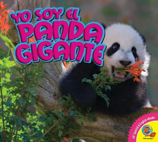 Könyv Yo Soy el Panda Gigante, With Code = Giant Panda, with Code Steve Macleod