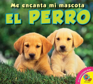 Buch El Perro Aaron Carr