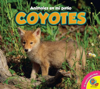 Książka Coyotes, With Code = Coyotes, with Code Jordan McGill