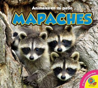 Carte Mapaches, With Code Jordan McGill