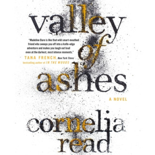Audio Valley of Ashes Hillary Huber