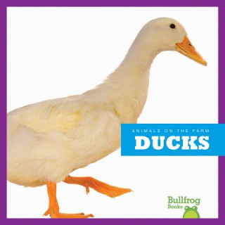 Książka Ducks Wendy Strobel Dieker