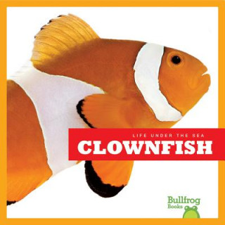 Könyv Clown Fish Cari Meister