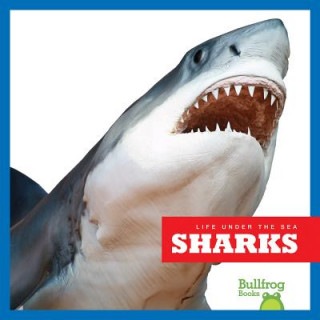 Knjiga Sharks Cari Meister