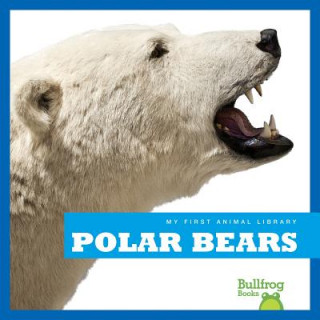 Kniha Polar Bears Carl Meister