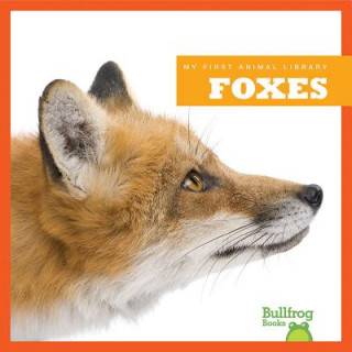 Knjiga Foxes Martha E. H. Rustad