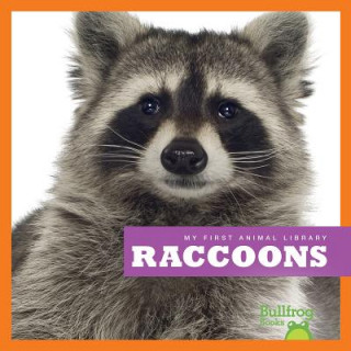 Kniha Raccoons Martha E. H. Rustad