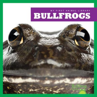 Carte Bullfrogs Martha E. H. Rustad