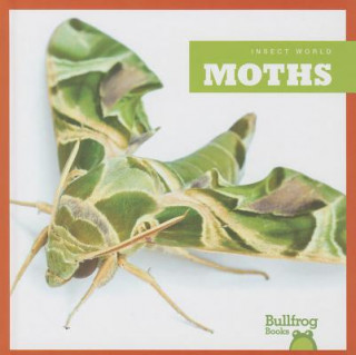 Kniha Moths Mari C. Schuh