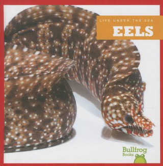 Kniha Eels Cari Meister