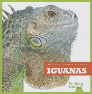 Kniha Iguanas Mari C. Schuh