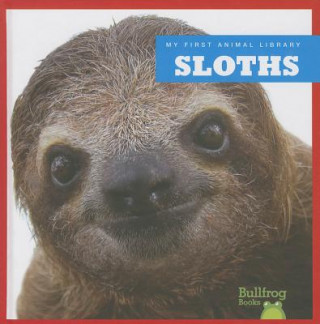 Książka Sloths Mari C. Schuh