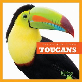 Książka Toucans Mari C. Schuh