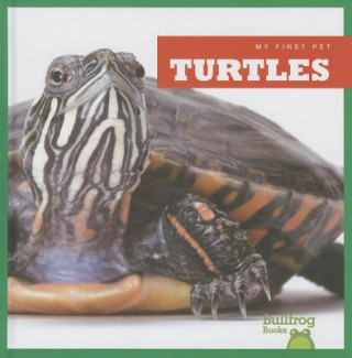 Kniha Turtles Cari Meister