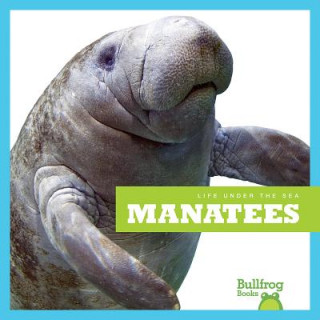 Knjiga Manatees Mari C. Schuh